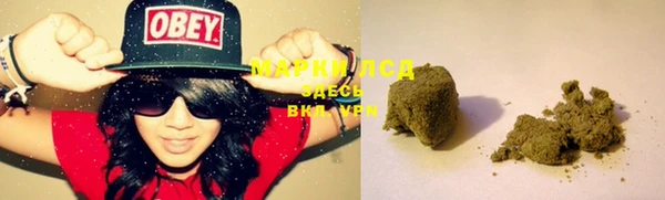 винт Карпинск