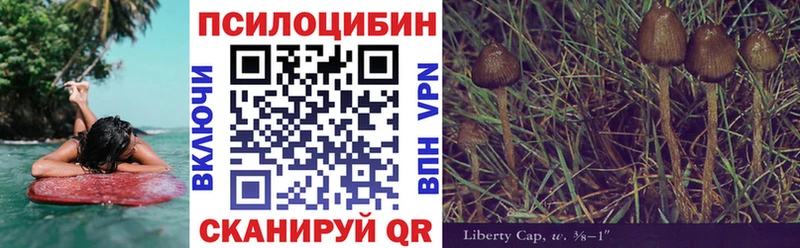 сколько стоит  Ишимбай  Галлюциногенные грибы Psilocybine cubensis 