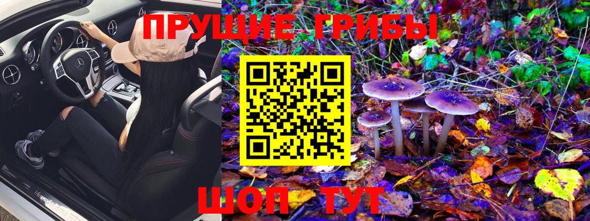 Псилоцибиновые грибы Magic Shrooms  Вход с VPN  Ишимбай  Галлюциногенные грибы MAGIC MUSHROOMS 
